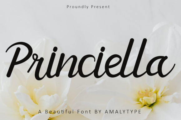 Princiella: A Luxurious Handwritten Font for Elegant Editorial Design